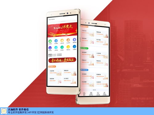 金華一站式定制軟件開發(fā)公司哪家好